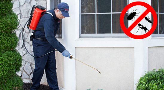 Çukurca Kene İlaçlama böcek ilaçlama ve haşere kontrolü — ilaclama-tr.com